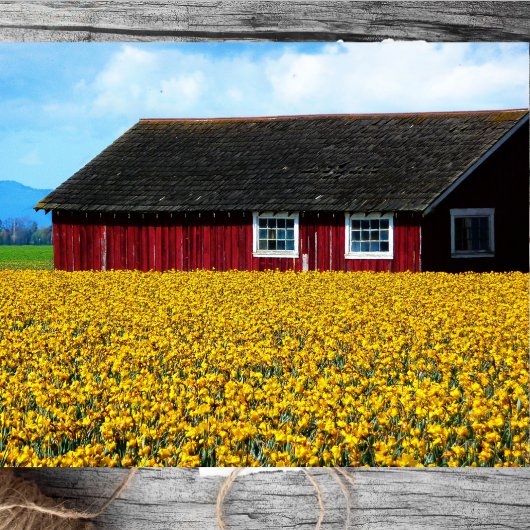 Red Barn Snuggled in het veld Gele Daffodils Tissuepapier