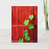Red Barn Vine Kaart (Voorkant)