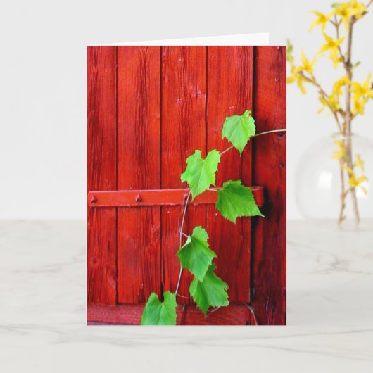 Red Barn Vine Kaart (Gele Bloem)