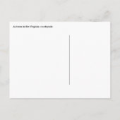 Red Barns Autumn Herfst Virginia Countryside Briefkaart (Achterkant)