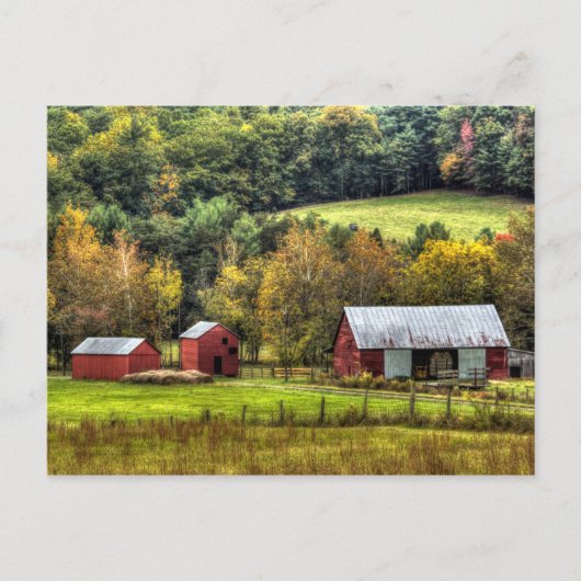 Red Barns Autumn Herfst Virginia Countryside Briefkaart (Voorkant)