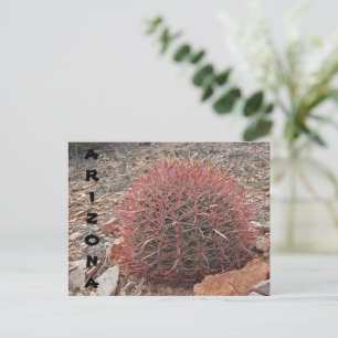 Red Barrel Cactus Desert Plant Arizona Greeting Briefkaart