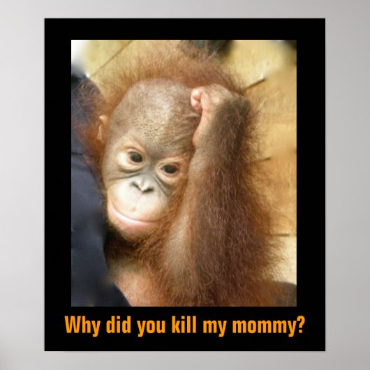 Red bedreigde wilde dieren Orphan Orangutan Poster (Voorkant)