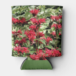 Red Bee Balm & Halo Dogwood Blikjeskoeler
