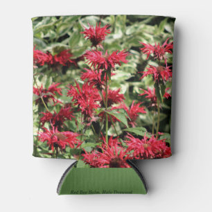 Red Bee Balm & Halo Dogwood Blikjeskoeler