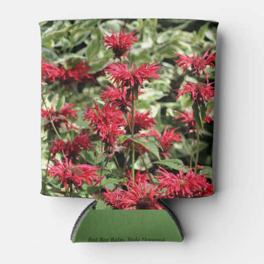 Red Bee Balm & Halo Dogwood Blikjeskoeler (Voorkant)