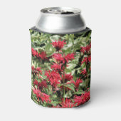 Red Bee Balm & Halo Dogwood Blikjeskoeler (Blikje Achterkant)