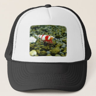 Red Bee Products & Gift shop Trucker Pet