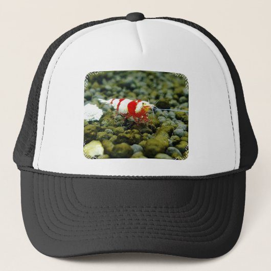 Red Bee Products & Gift shop Trucker Pet (Voorkant)