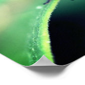 Red Beetle Insect Close Poster (Hoek)