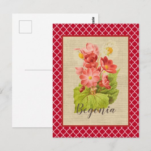 Red Begonia Botanical en Quatrefoil Briefkaart (Voorkant / Achterkant)