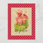 Red Begonia Botanical en Quatrefoil Briefkaart (Voorkant)