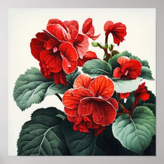 Red Begonias Bloemenkunst Print Poster (Voorkant)