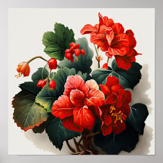 Red Begonias Bloemenkunst Print Poster (Voorkant)