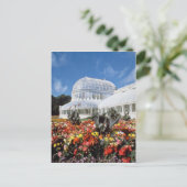 Red Belfast, Palm House, Botanische Tuinen, Ierlan Briefkaart (Staand voorkant)