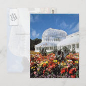 Red Belfast, Palm House, Botanische Tuinen, Ierlan Briefkaart (Voorkant / Achterkant)