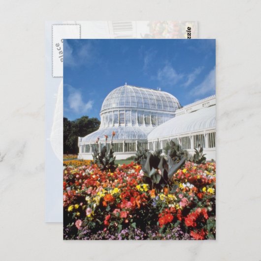 Red Belfast, Palm House, Botanische Tuinen, Ierlan Briefkaart (Voorkant / Achterkant)