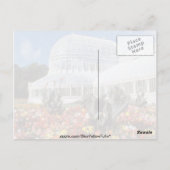 Red Belfast, Palm House, Botanische Tuinen, Ierlan Briefkaart (Achterkant)