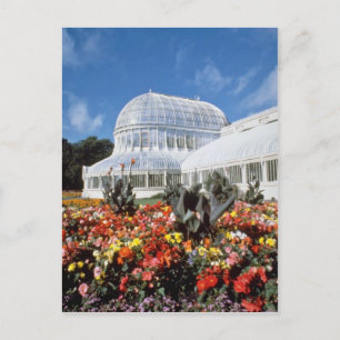 Red Belfast, Palm House, Botanische Tuinen, Ierlan Briefkaart