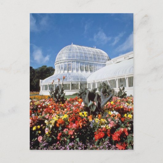 Red Belfast, Palm House, Botanische Tuinen, Ierlan Briefkaart (Voorkant)
