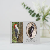 Red Bellied en Downy Woodpecker Briefkaart (Staand voorkant)