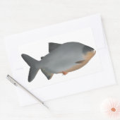 Red-bellied Pacu Rechthoekige Sticker (Envelop)