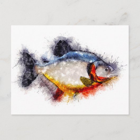 Red Bellied Piranha Waterverf monster vis kunst Briefkaart (Voorkant)