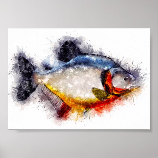 Red Bellied Piranha waterverf monster vis kunst Poster (Voorkant)
