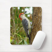 Red bellied Woodpecker Bird Mousepad Muismat (Met muis)