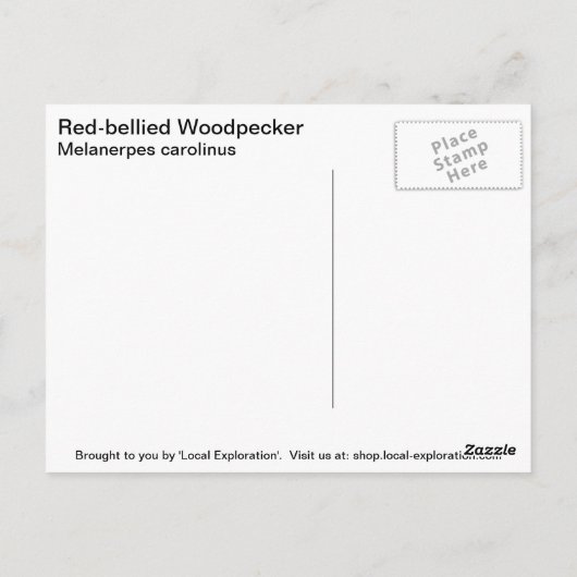 Red-bellied Woodpecker Briefkaart (Achterkant)