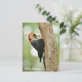 Red-Bellied Woodpecker Briefkaart (Staand voorkant)
