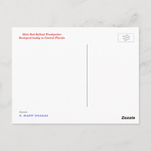 Red-bellied Woodpecker Briefkaart (Achterkant)