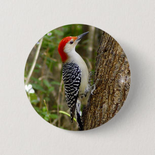 Red Bellied Woodpecker Button