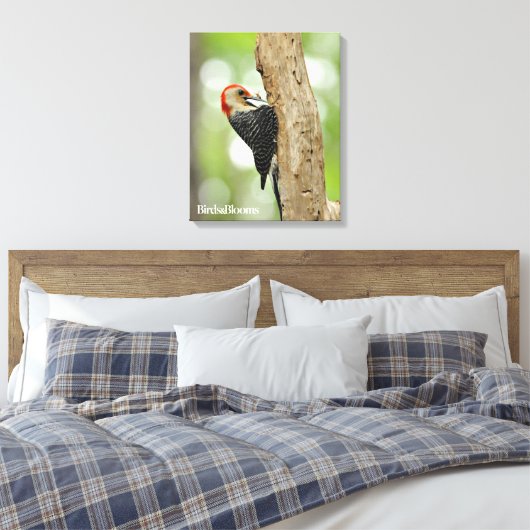 Red-Bellied Woodpecker Canvas Afdruk (Insitu (Slaapkamer))