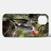Red Bellied Woodpecker Case-Mate iPhone Case (Achterkant (horizontaal))