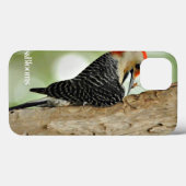 Red-Bellied Woodpecker Case-Mate iPhone Case (Achterkant (horizontaal))