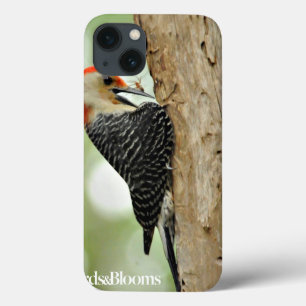 Red-Bellied Woodpecker iPhone 13 Hoesje