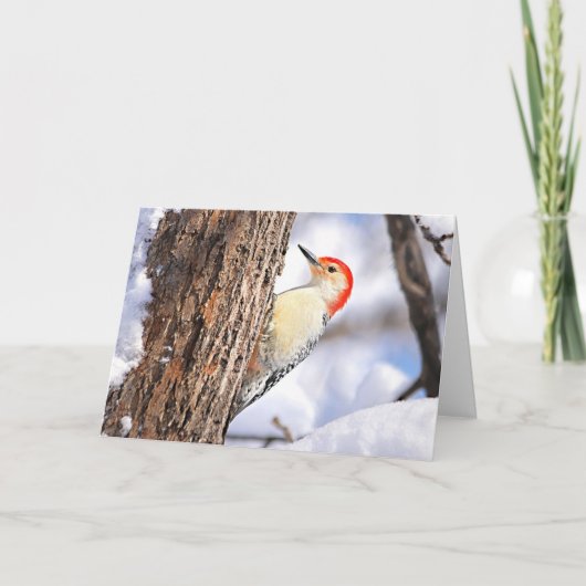 Red-bellied Woodpecker Christmas Card Feestdagen Kaart (Voorkant)