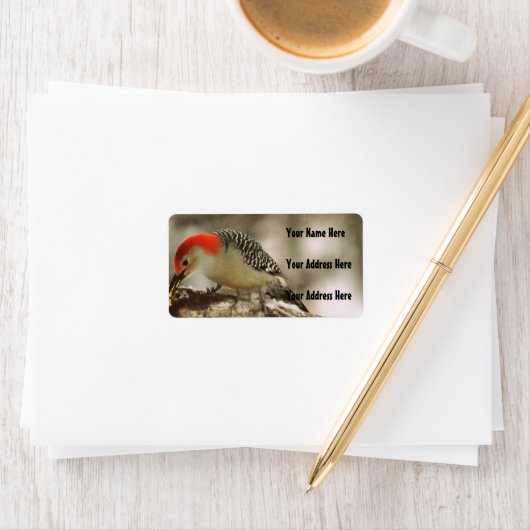 Red Bellied Woodpecker Etiket (Insitu)