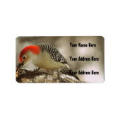 Red Bellied Woodpecker Etiket (Voorkant)
