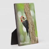 Red-Bellied Woodpecker Fotoplaat (Zijkant)