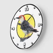 Red-Bellied Woodpecker Grote Klok (Hoek)