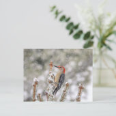Red-bellied Woodpecker in de sneeuw Briefkaart (Staand voorkant)