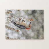 Red-bellied Woodpecker in de sneeuw Legpuzzel (Horizontaal)