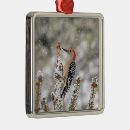 Red-bellied Woodpecker in de sneeuw Metalen Ornament (Rechts)