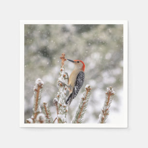 Red-bellied Woodpecker in de sneeuw Servetten