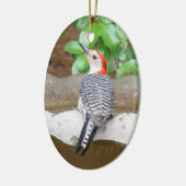 Red-bellied Woodpecker Keramisch Ornament (Links)