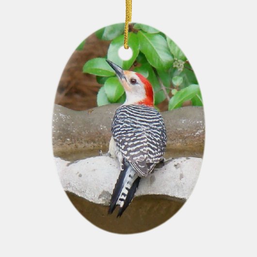 Red-bellied Woodpecker Keramisch Ornament (Voorkant)