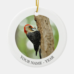 Red-Bellied Woodpecker Keramisch Ornament