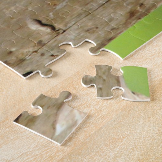 Red-Bellied Woodpecker Legpuzzel (Zijkant)